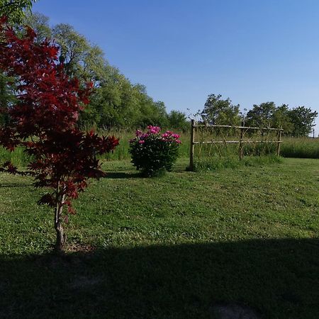 La Ferme De La Terve Bed & Breakfast Bruailles Ngoại thất bức ảnh