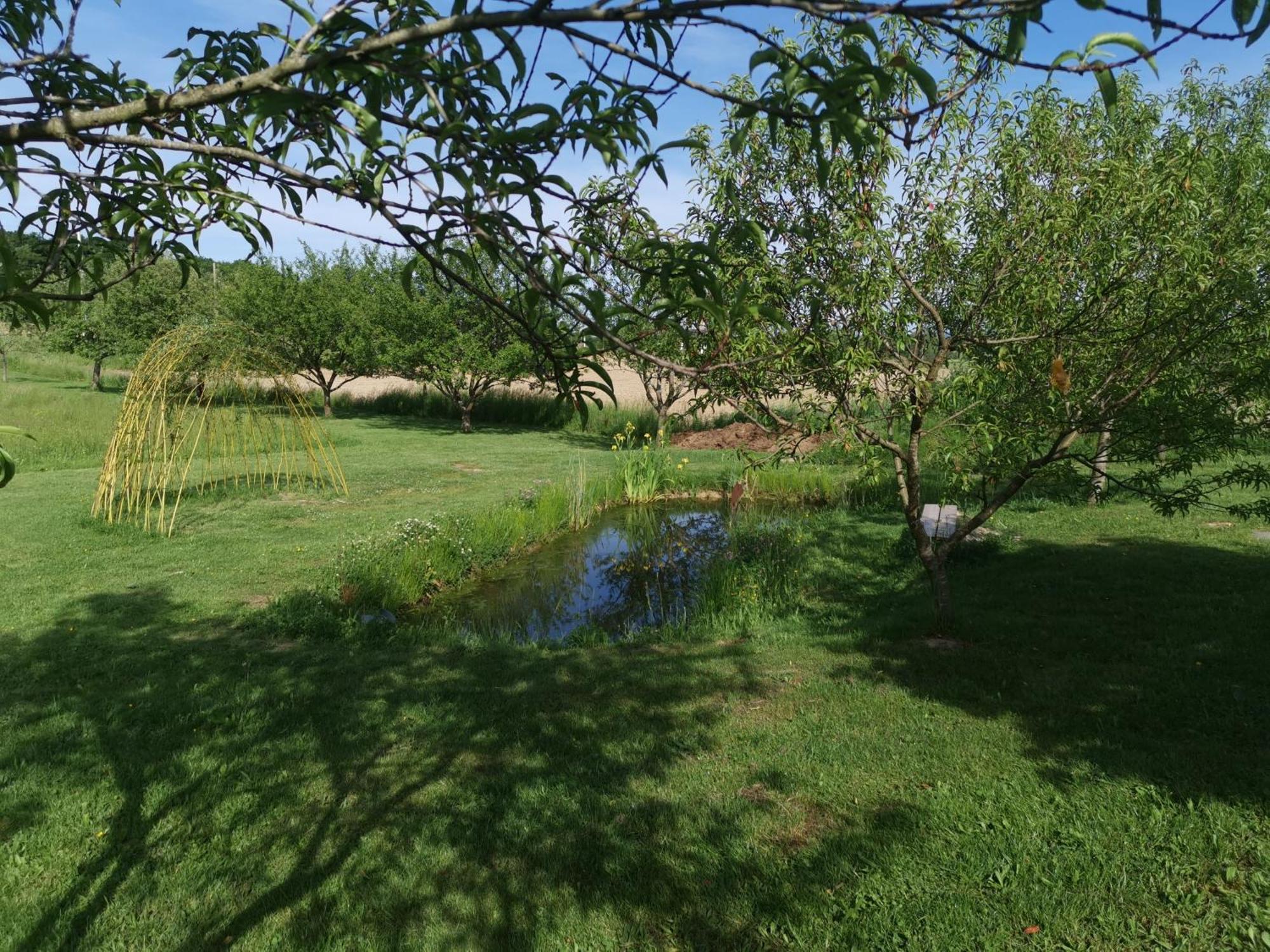 La Ferme De La Terve Bed & Breakfast Bruailles Ngoại thất bức ảnh